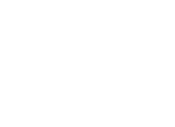 Trusted partner logo